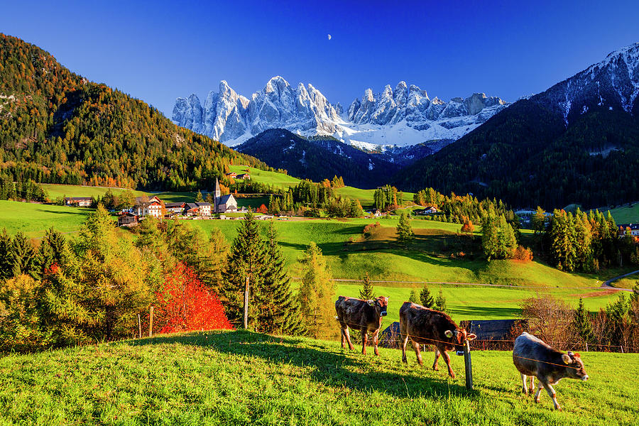 Alps, Val Di Funes, Autumn, Italy Digital Art by Davide Erbetta