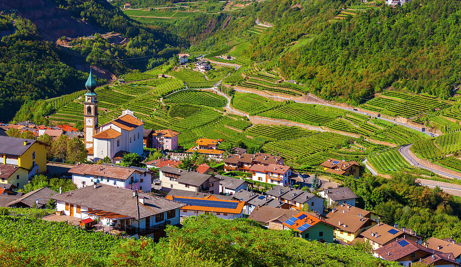 Alps, Vineyards, Town View, Italy Digital Art by Olimpio Fantuz