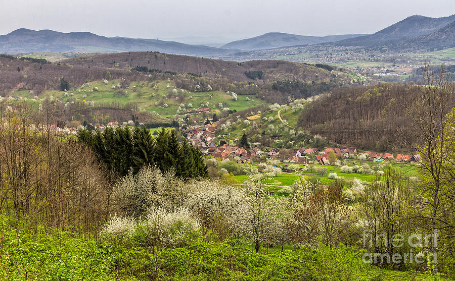 Alsace countryside Photograph by Bernd Laeschke
