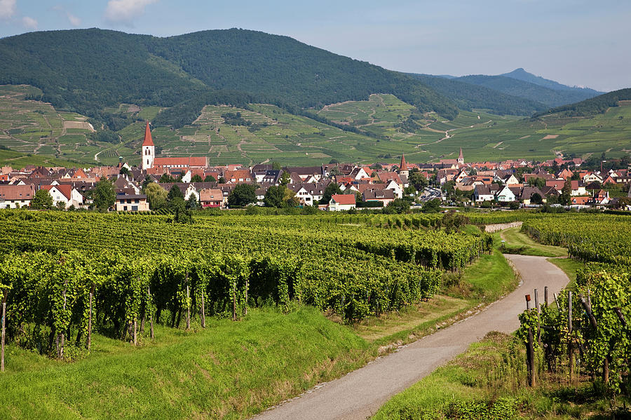 Alsace, France Photograph by Buena Vista Images