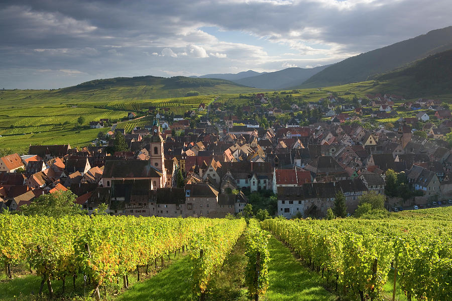 Alsace, France Photograph by Peter Adams