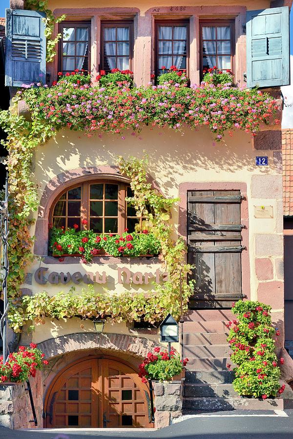 Alsace In France Digital Art by Francesco Carovillano