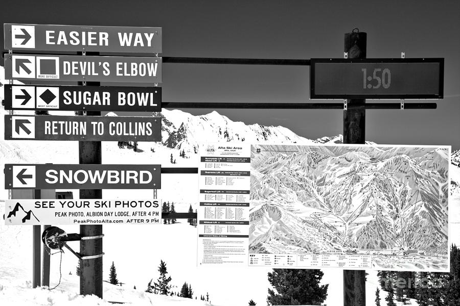 Alta nowbird Connection Black And White Photograph by Adam Jewell