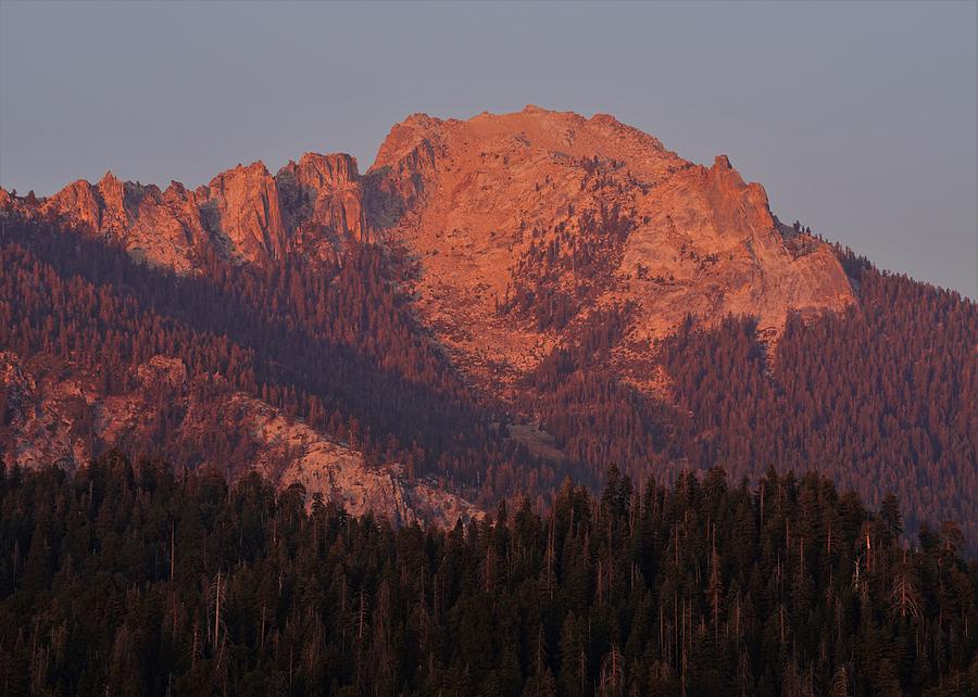 Alta Peak Alpenglow Sequoia National Park Photograph by Brett Harvey ...