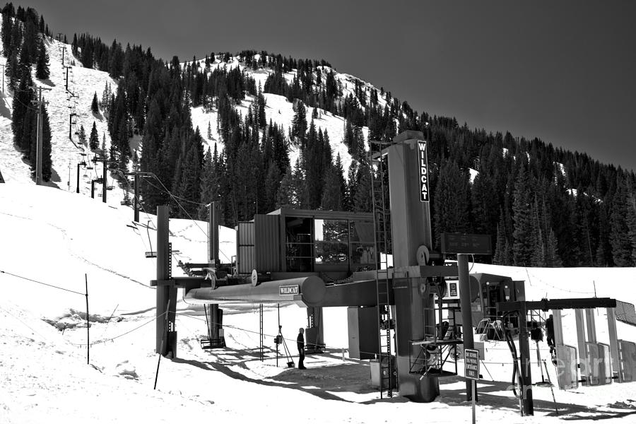 Alta Wildcat Chairlift Black And White Photograph by Adam Jewell