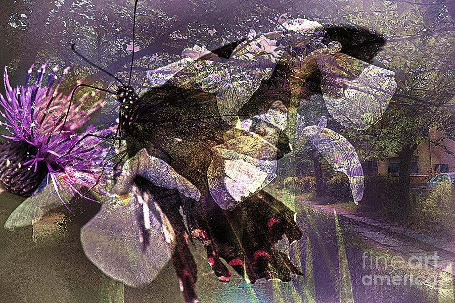 Altered state of consciousness Guide by Fine art photographer JULIE Altered state of consciousness Guide by Fine art photographer JULIE