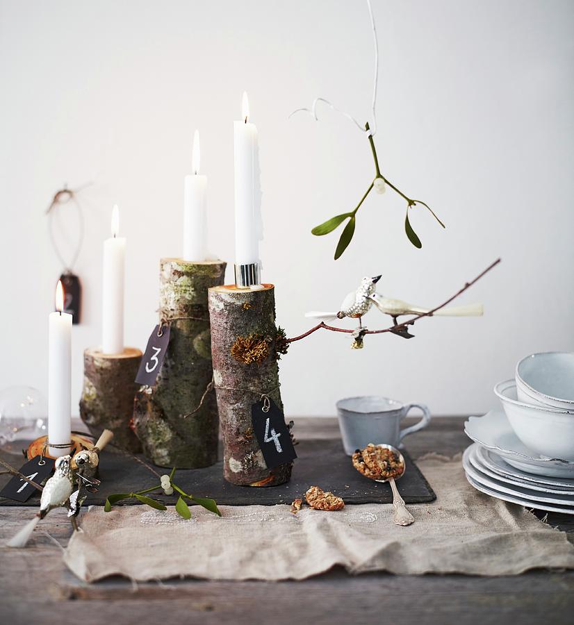 Alternative Advent Arrangement Of Branches And Ornamental Birds On Table Photograph by Andreas Hoernisch