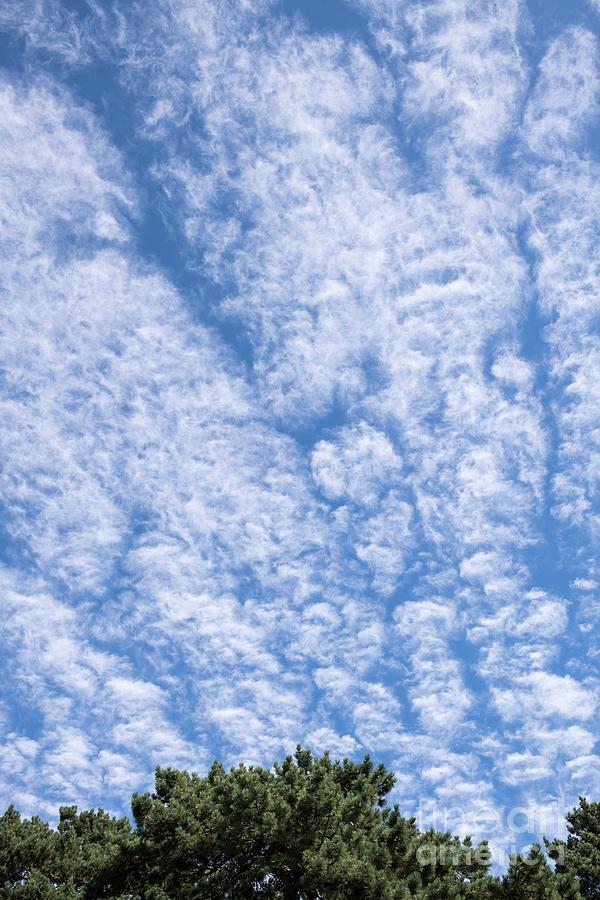 Altocummulus Stratiformis Clouds. Photograph By David Parker/science ...