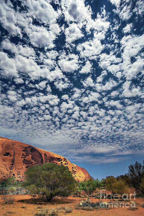 Spring Photograph - Altocumulus Stratiformis Clouds Over Uluru by Stephen Burt/science Photo Library
