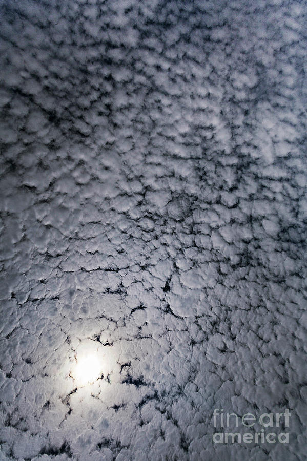 Altocumulus Stratiformis Clouds Photograph By Stephen Burtscience