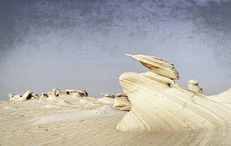 Desert Duck Photograph by Alexey Stiop