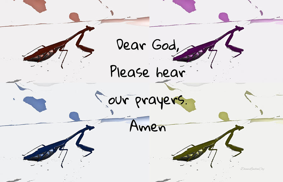 Always Praying Mantis Photograph by Diane Lindon Coy