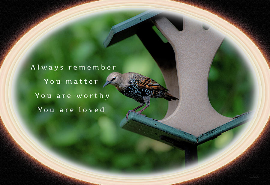 Always Remember Photograph by Diane Lindon Coy