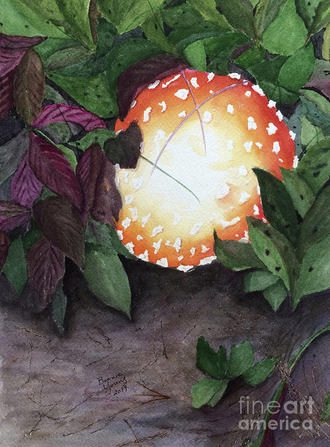 Amanita muscaria Painting by Bonnie Young