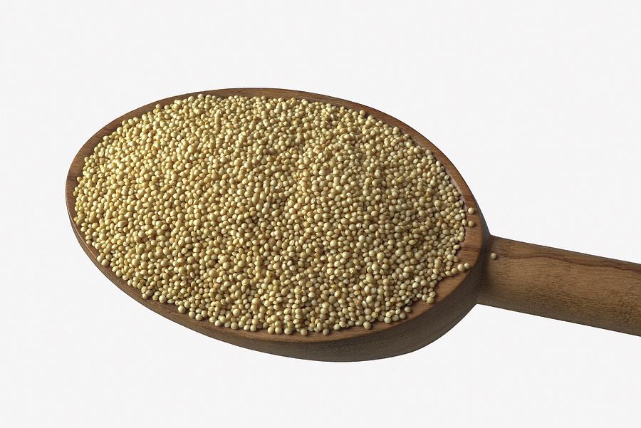 Amaranth On A Wooden Spoon Photograph by Dr. Martin Baumgrtner