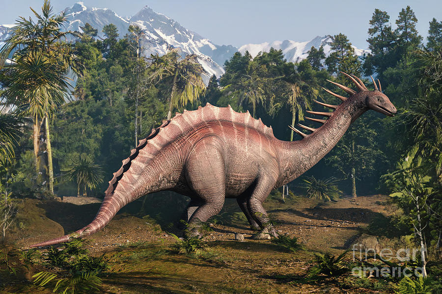Amargasaurus Dinosaur Photograph by Roger Harris/science Photo Library
