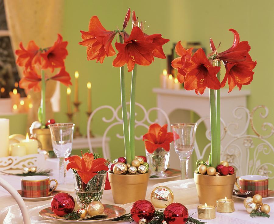 Amaryllis And Baubles On Festive Christmas Table Photograph by Friedrich Strauss