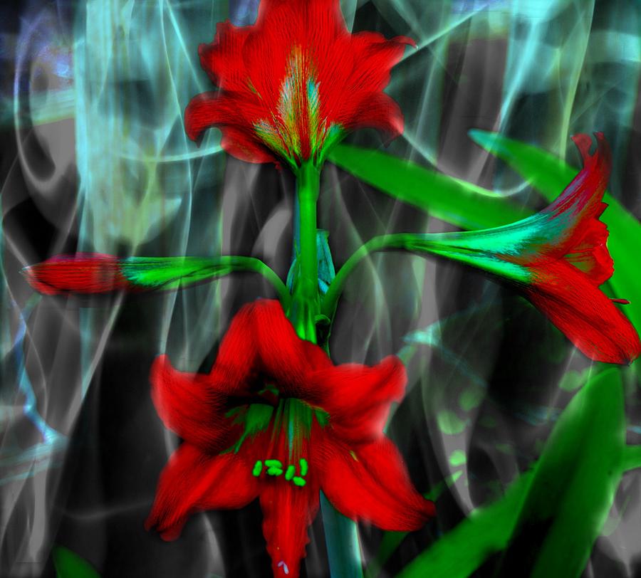 Amaryllis in Smoke  Photograph by Yvonne Sewell