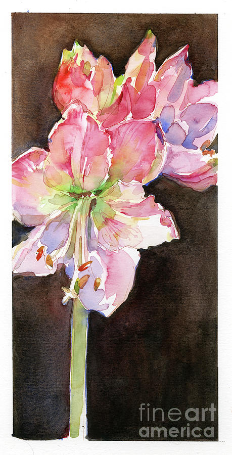 Amaryllis With Brown Background, 2015 Watercolor Painting by John Keeling