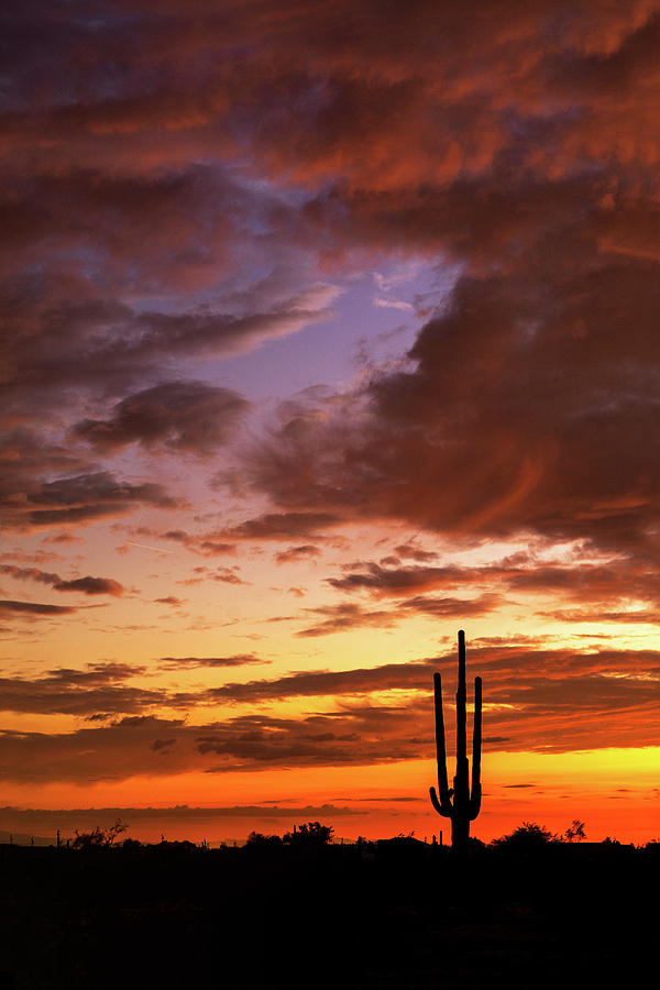 Amazing Arizona Skies  Photograph by Saija Lehtonen
