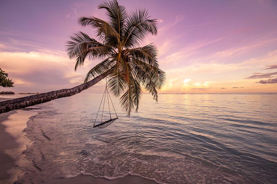 Nature Photograph - Amazing Beach With Palm Trees And Swing by Levente Bodo