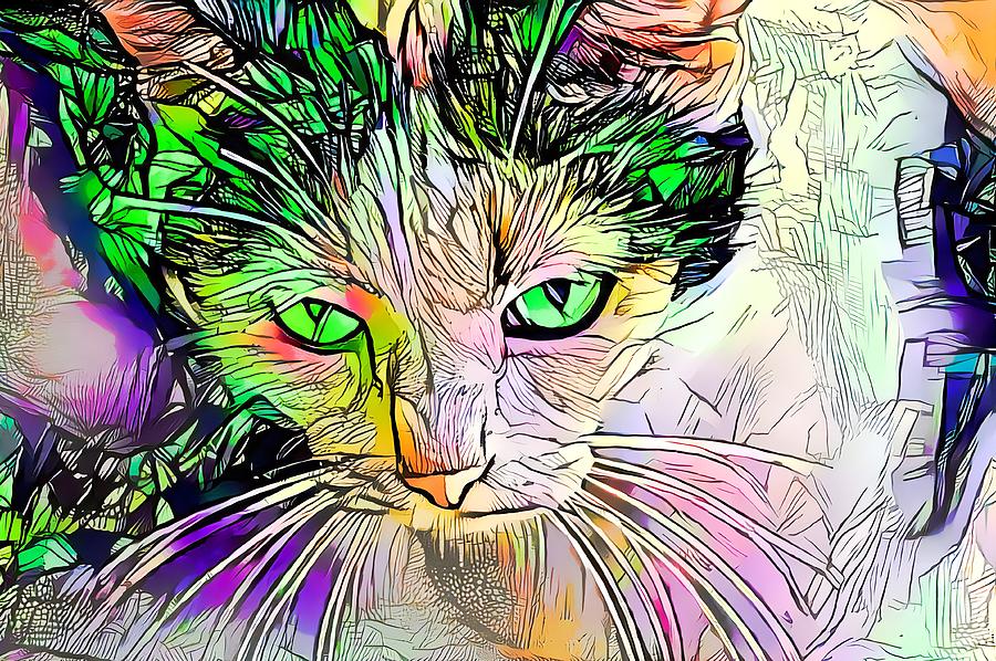 Amazing Coloring Book Cat Green Eyes Digital Art by Don Northup
