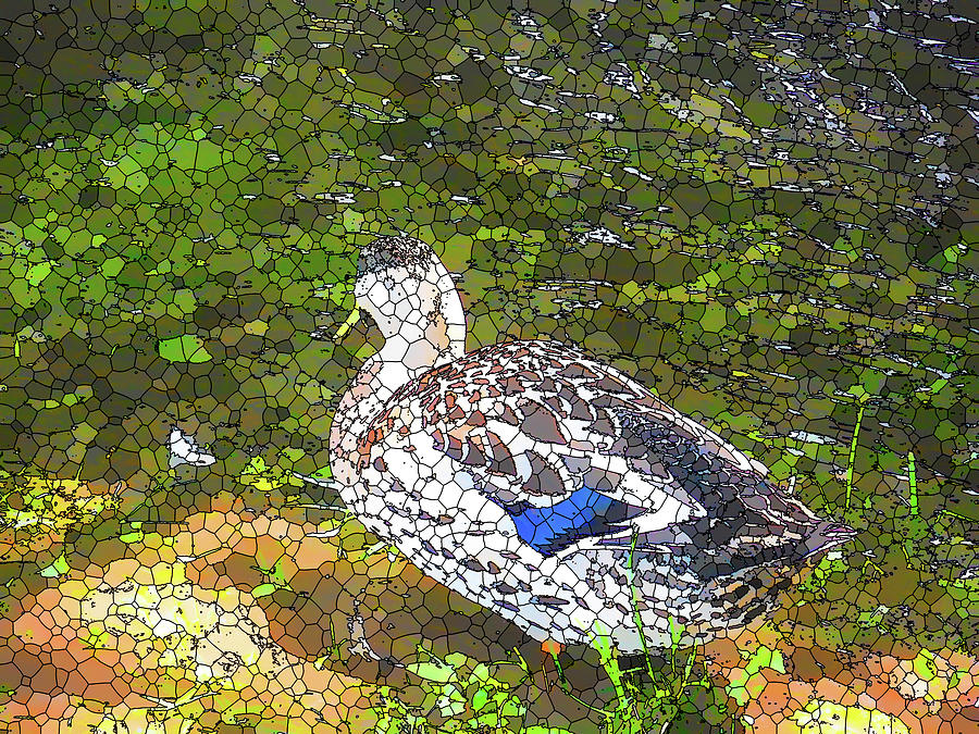Amazing Duck 3 Painting by Jeelan Clark