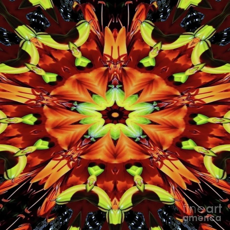 Amazing In Orange Digital Art by D Hackett