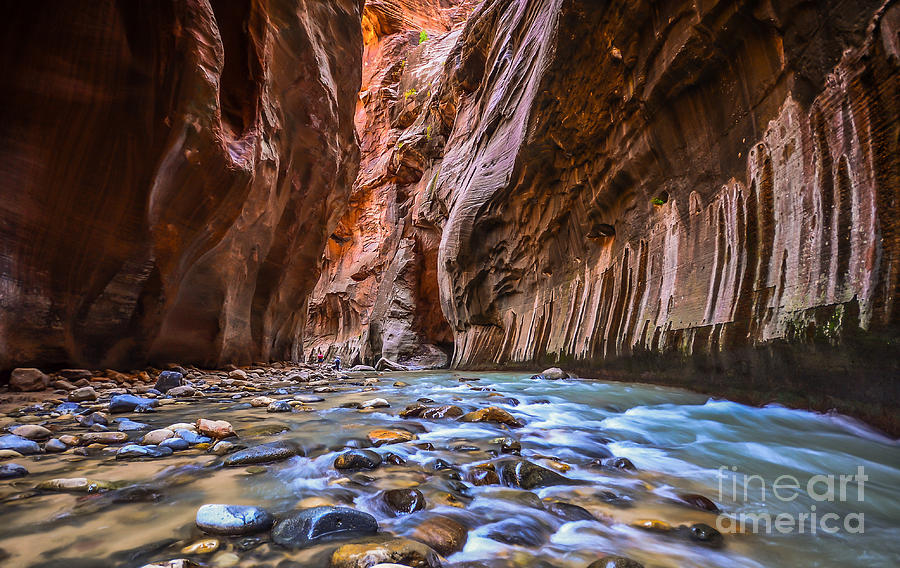 Southwest Photograph - Amazing Landscape Of Canyon In Zion by Pung Southwest Photograph - Amazing Landscape Of Canyon In Zion by Pung