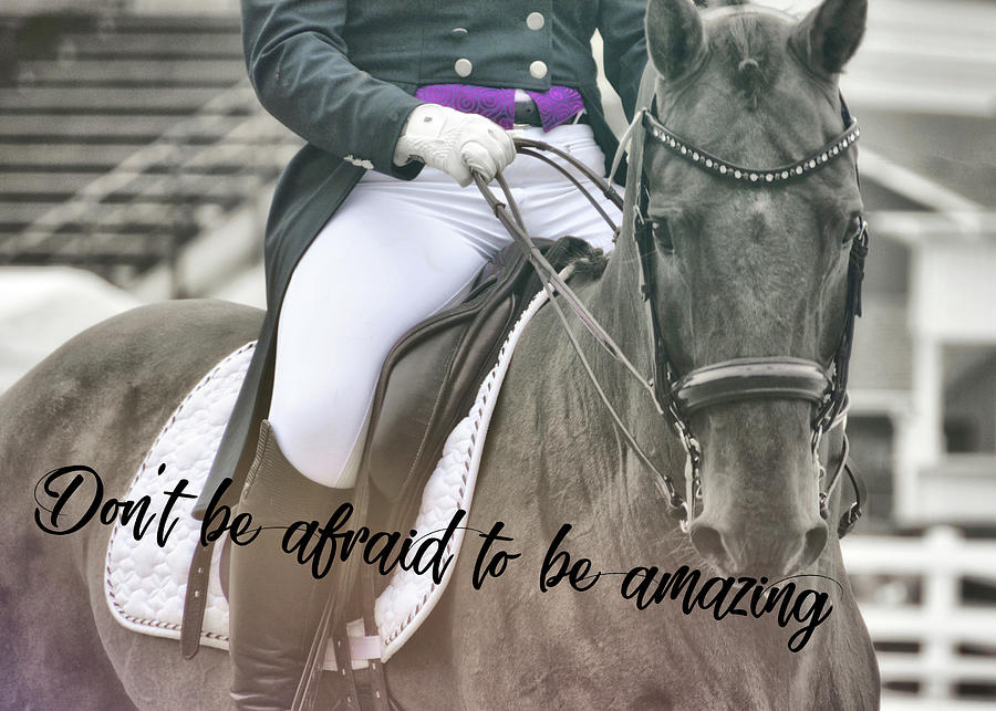 AMAZING quote Photograph by Dressage Design