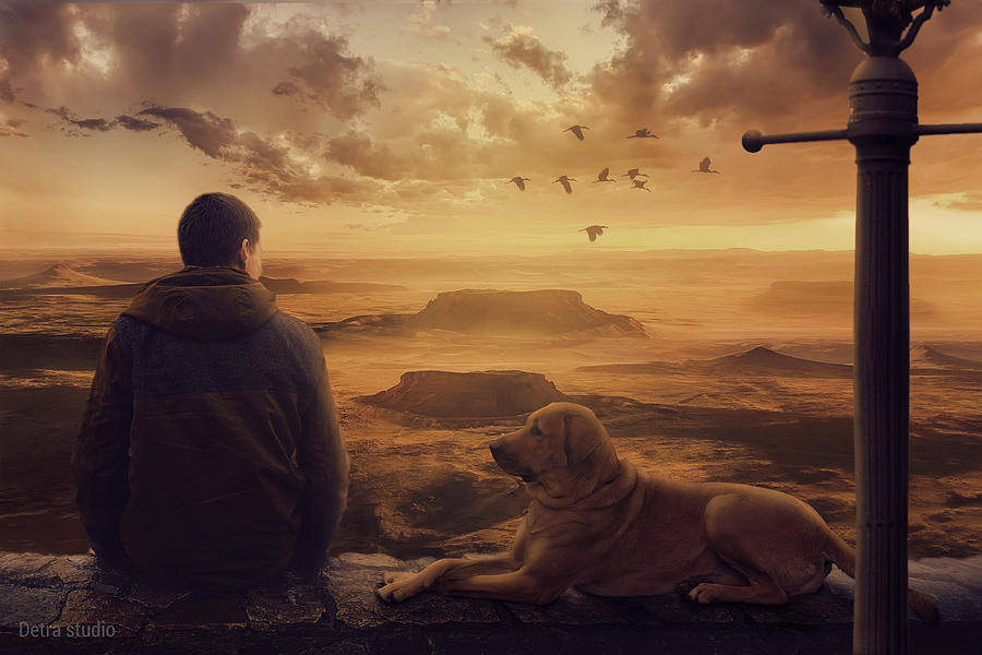 Amazing view at sunset Photograph by Dejan Travica Amazing view at sunset Photograph by Dejan Travica