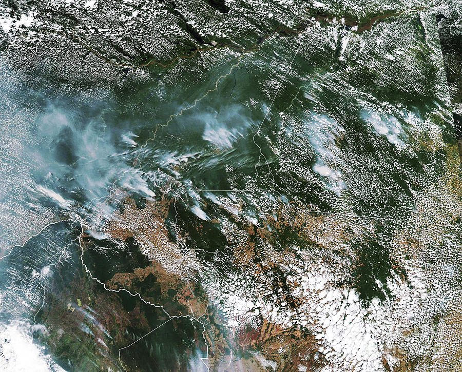 Wildfire Photograph - Amazon Fires From Space by Nasa Eosdis Worldview/lance/gibs/suomi Npp/science Photo Library