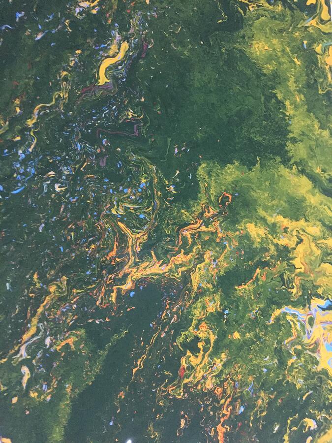 Amazon Painting by Greg Powell Fine Art America