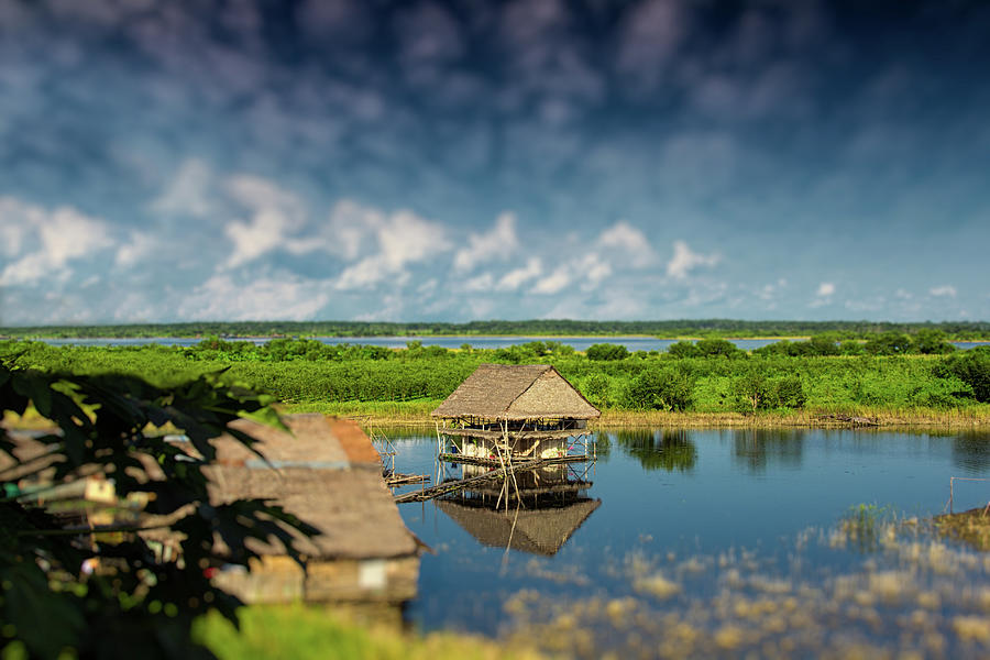 Amazon Hut Photograph by By Kim Schandorff