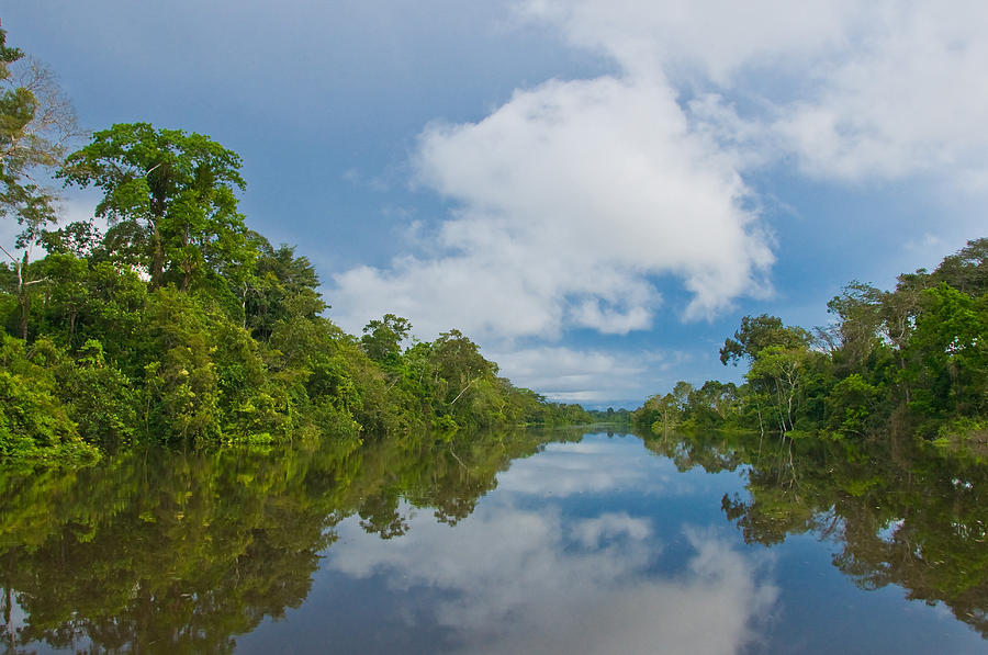 Amazon River In Peru Photograph by Michael Lustbader