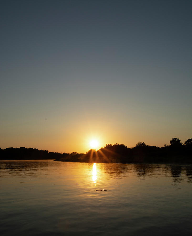 Amazon Sunrise Photograph by Patrick Nowotny