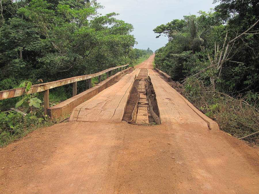 Amazonas Bridge Photograph by Nelson Luiz Wendel