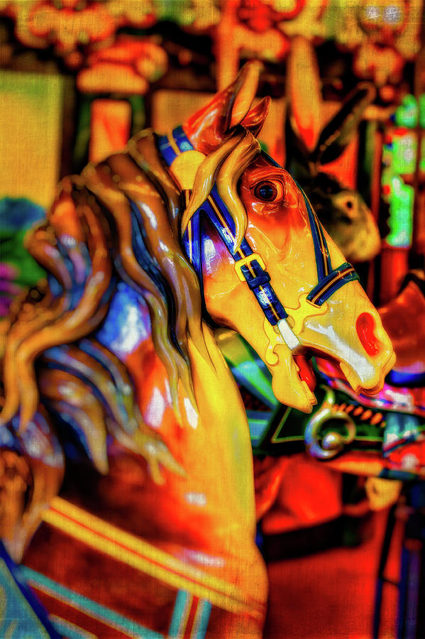 Amber Carrousel Horse Photograph by Garry Gay