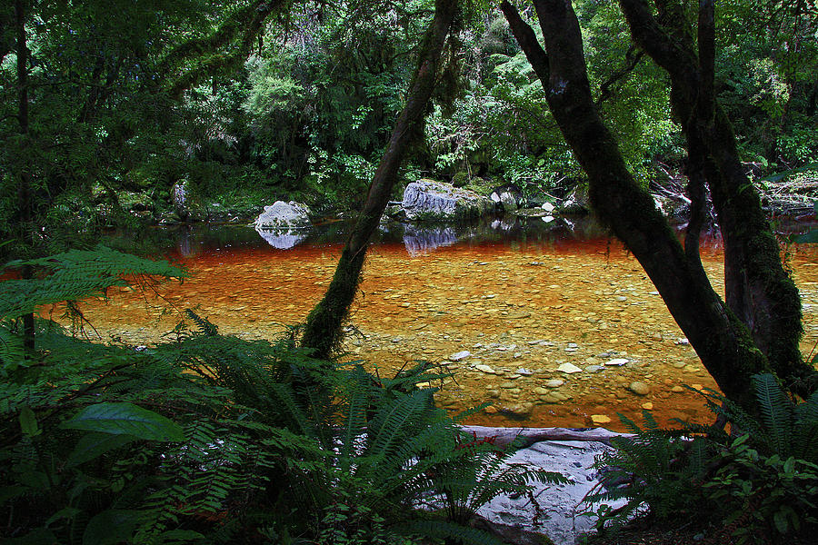 Amber Mountain Stream by Nareeta Martin Amber Mountain Stream by Nareeta Martin