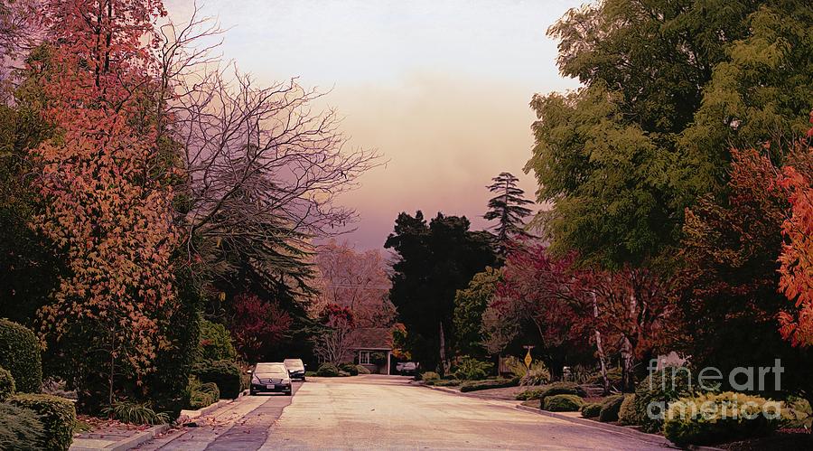 Amber Tones Fall Season Streets of California Neighborhood  Photograph by Chuck Kuhn