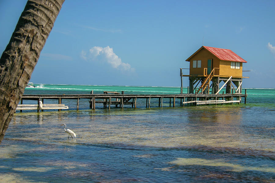 Home on Stilts, Ambergris Cayes, Belize Photograph by Leslie Struxness