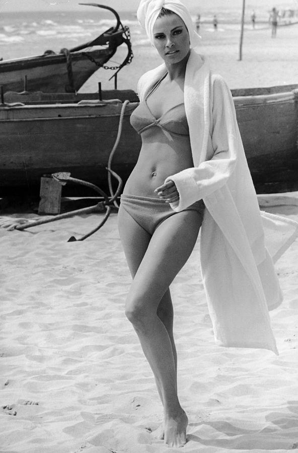 American Actress Raquel Welch On The Photograph by Keystone-france