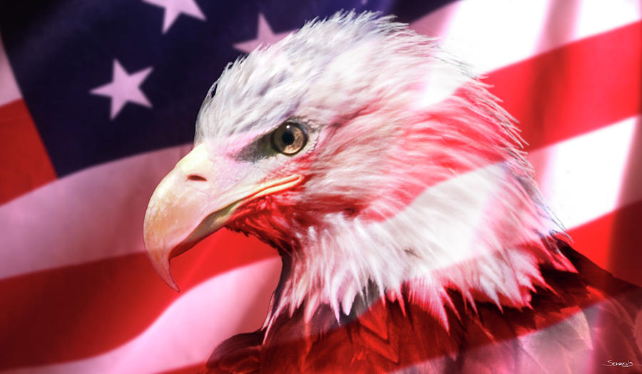 American Bald Eagle Photograph - American Bald Eagle II by Gordon Semmens