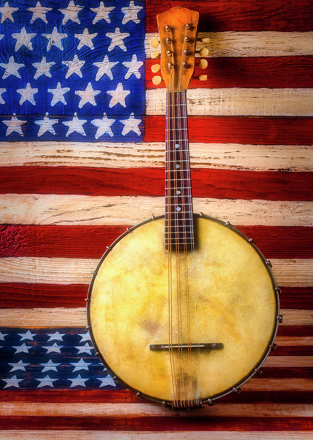 American Banjo Folk Art Flag Photograph by Garry Gay