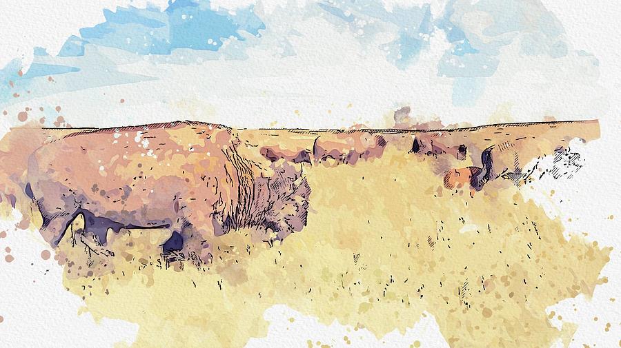 American Bison Herd In Fall Landscape Watercolor By Ahmet Asar Painting