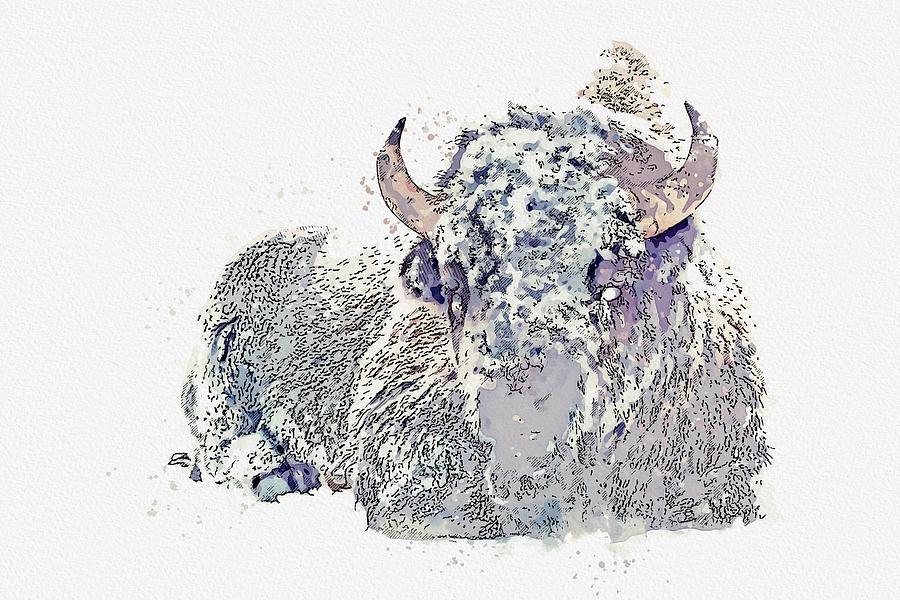 American Bison In Winter Landscape 2 Watercolor By Ahmet Asar Painting