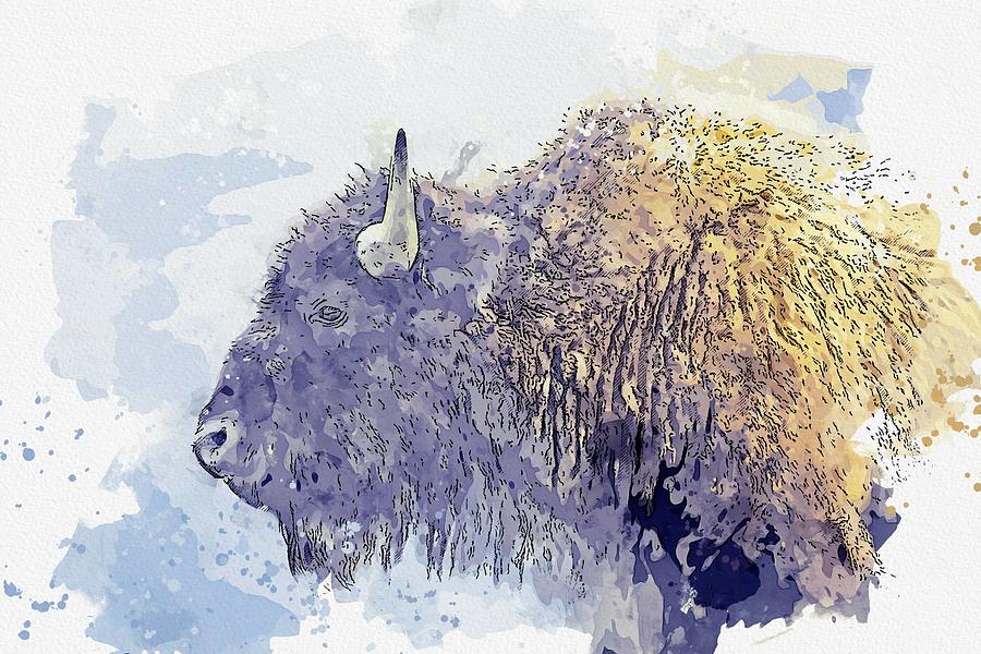 American Bison watercolor by Ahmet Asar Painting by Celestial Images