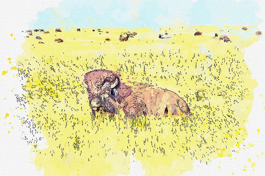 Yellowstone National Park Painting - American Bisons watercolor by Ahmet Asar by Celestial Images