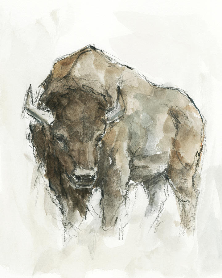 Bison Painting - American Buffalo II by Ethan Harper