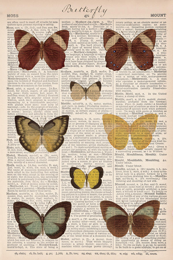 American Butterflies II Mixed Media by Sue Schlabach American Butterflies II Mixed Media by Sue Schlabach